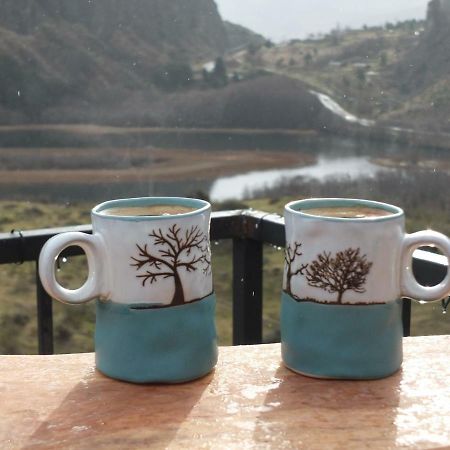 Domo Carpe Diem Patagonia Coyhaique Ngoại thất bức ảnh