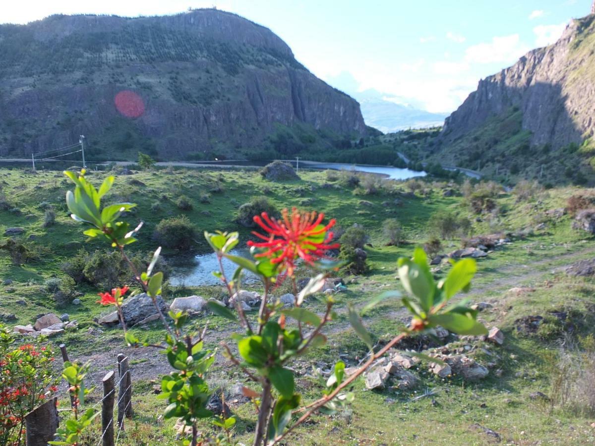 Domo Carpe Diem Patagonia Coyhaique Ngoại thất bức ảnh